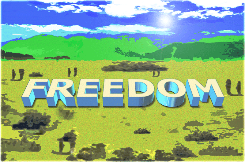 Forum for Freedom and Democracy_ view on building site